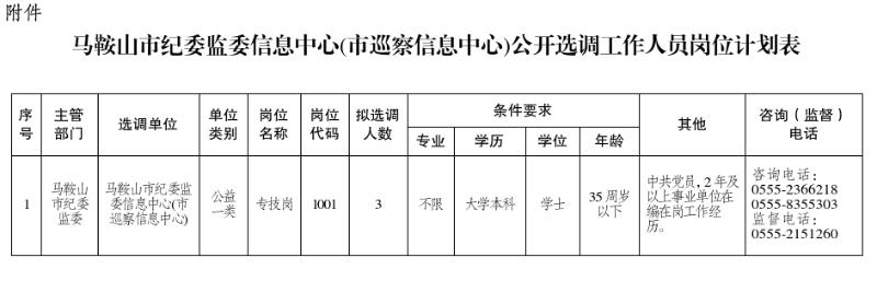 马鞍山市纪委监委信息中心(市巡察信息中心)公开选调工作人员岗位计划表