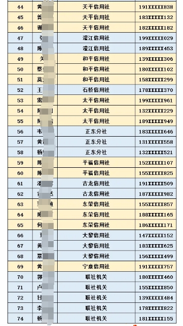 2025年藤县农信社寒假社会实践生名单公布